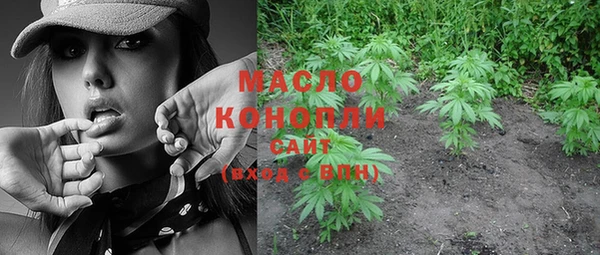 амф Каменногорск