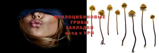 первитин Каменск-Шахтинский