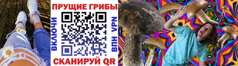 Галлюциногенные грибы Psilocybe  Купить  Лесосибирск 